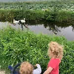 Les 3 Roseaux- Au Coeur Du Marais Audomarois Prázdninový dům Saint-Omer (Pas-de-Calais)