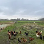 Les 3 Roseaux- Au Coeur Du Marais Audomarois Prázdninový dům
