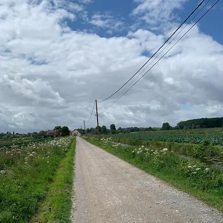 Les 3 Roseaux- Au Coeur Du Marais Audomarois