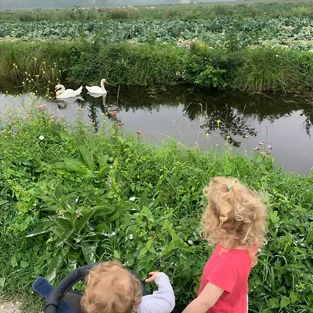 Les 3 Roseaux- Au Coeur Du Marais Audomarois Casa vacanze Saint-Omer (Pas-de-Calais)