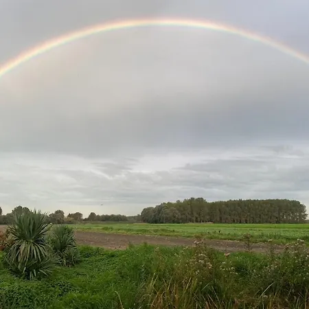 Les 3 Roseaux- Au Coeur Du Marais Audomarois Saint-Omer (Pas-de-Calais)